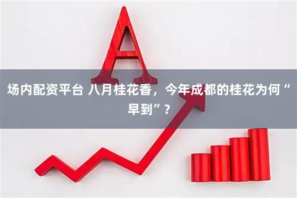 场内配资平台 八月桂花香，今年成都的桂花为何“早到”？